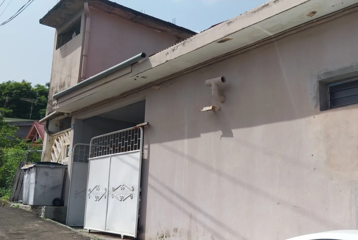 Maison F6 à Fort-de-France avec deux appartements et terrain - Excellente opportunité d'investissement 