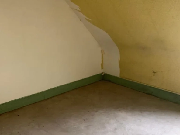 Maison de village à Châteauneuf-Val-de-Bargis à vendre avec travaux et potentiel intéressant 