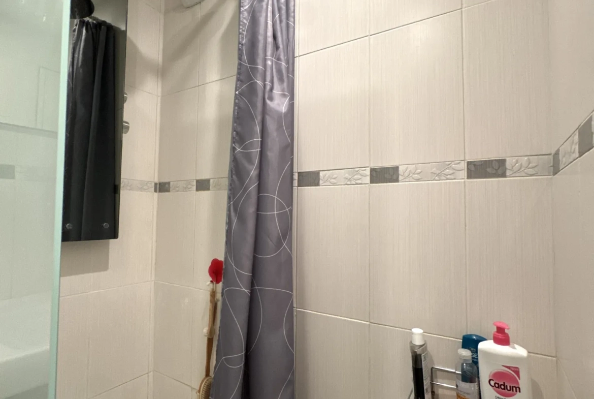 Appartement F4 avec balcon, cave et parking à Saint-Étienne Villeboeuf Le Haut 