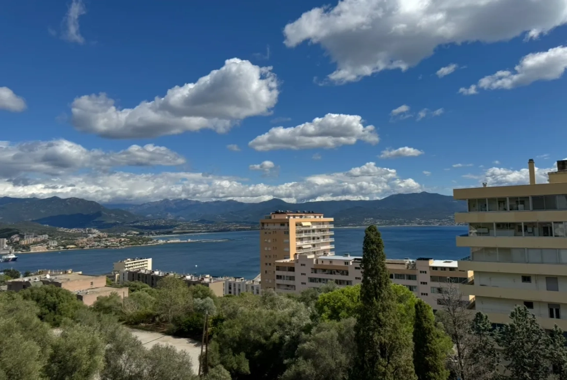 Vente d'un T2 rénové avec terrasse vue mer à Ajaccio 