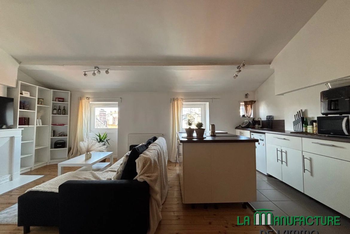 Appartement F1 loué à Saint-Étienne, rue de la République, dernier étage avec cave 