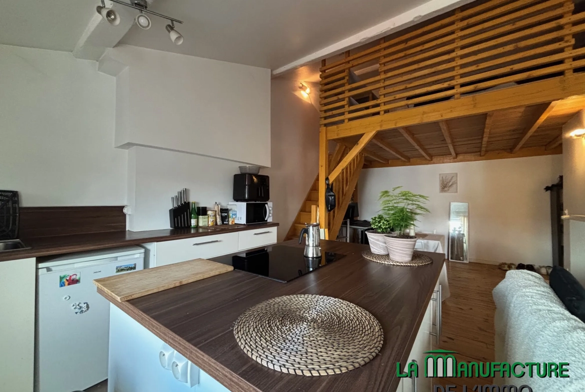 Appartement F1 loué à Saint-Étienne, rue de la République, dernier étage avec cave 