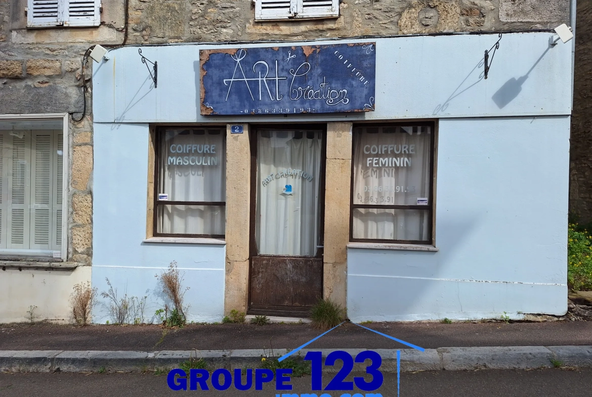 Ensemble immobilier à vendre au cœur de l'Isle-sur-Serein (89) avec maison et local commercial 