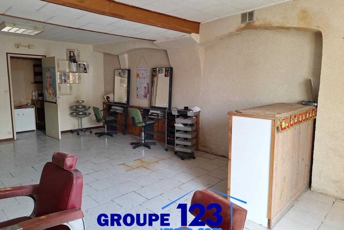 Ensemble immobilier à vendre au cœur de l'Isle-sur-Serein (89) avec maison et local commercial 