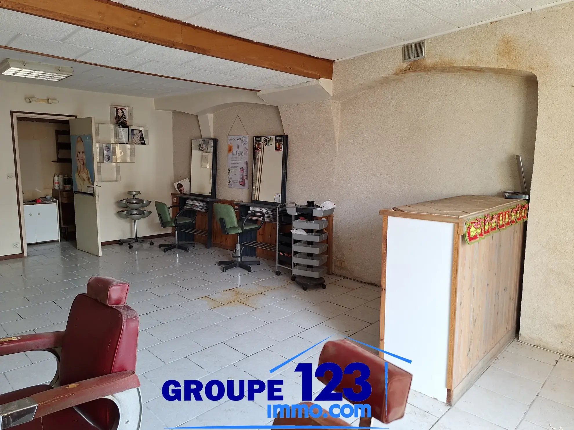 Ensemble immobilier à vendre au cœur de l'Isle-sur-Serein (89) avec maison et local commercial 