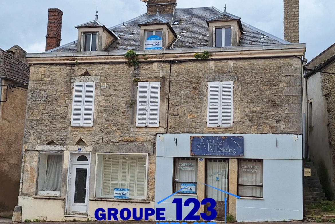 Ensemble immobilier à vendre au cœur de l'Isle-sur-Serein (89) avec maison et local commercial 