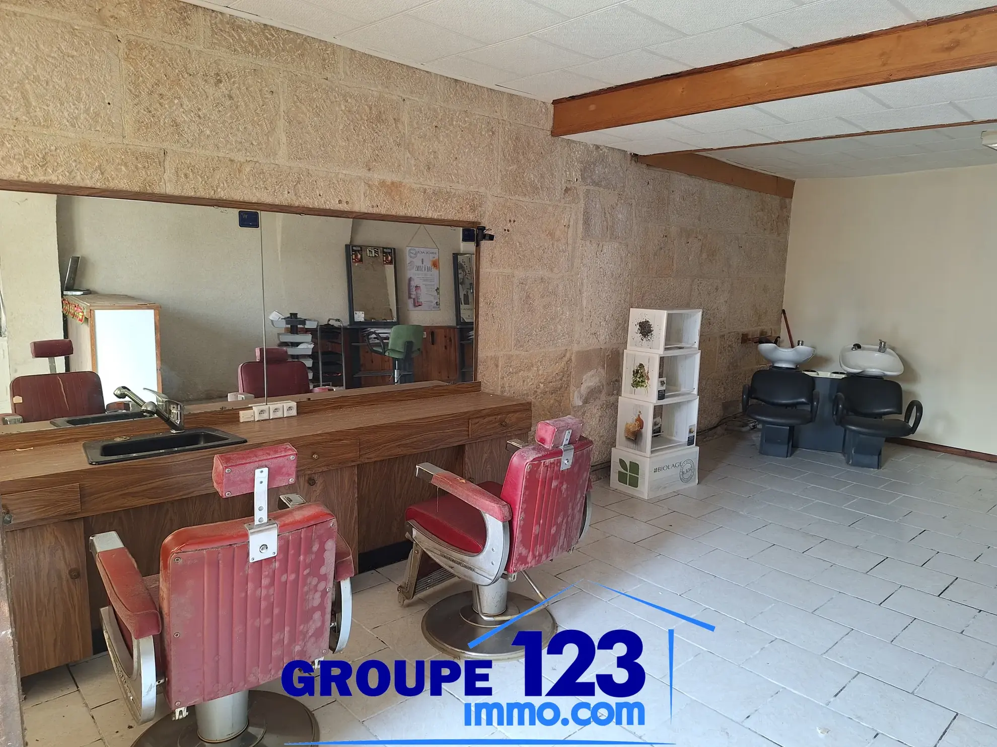 Ensemble immobilier à vendre au cœur de l'Isle-sur-Serein (89) avec maison et local commercial 