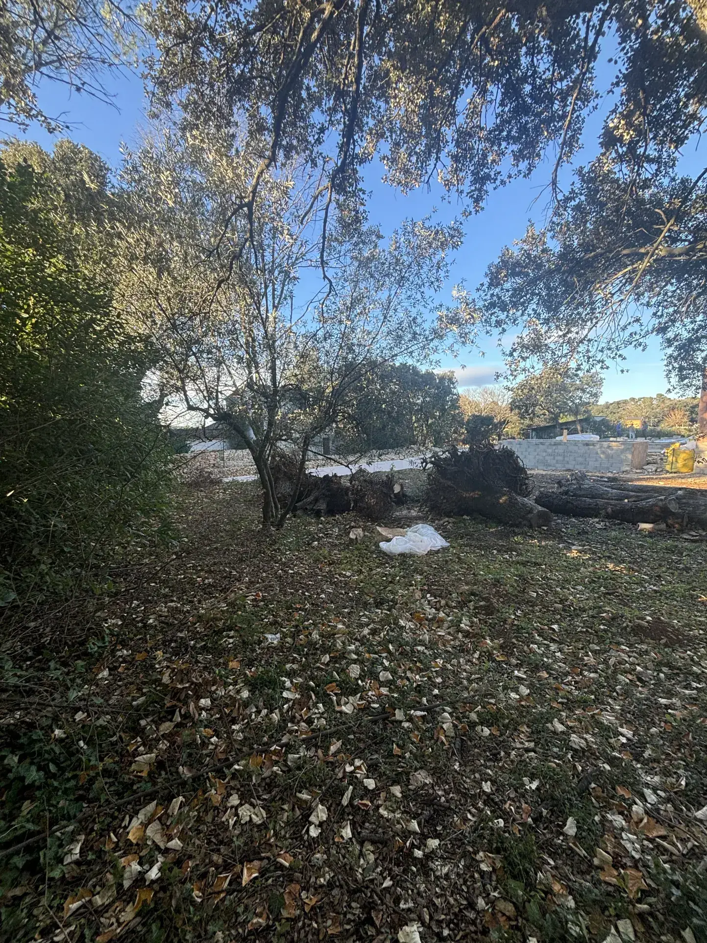 Terrain constructible de 305 m² à Nîmes Castanet, exposé sud et prêt à bâtir 