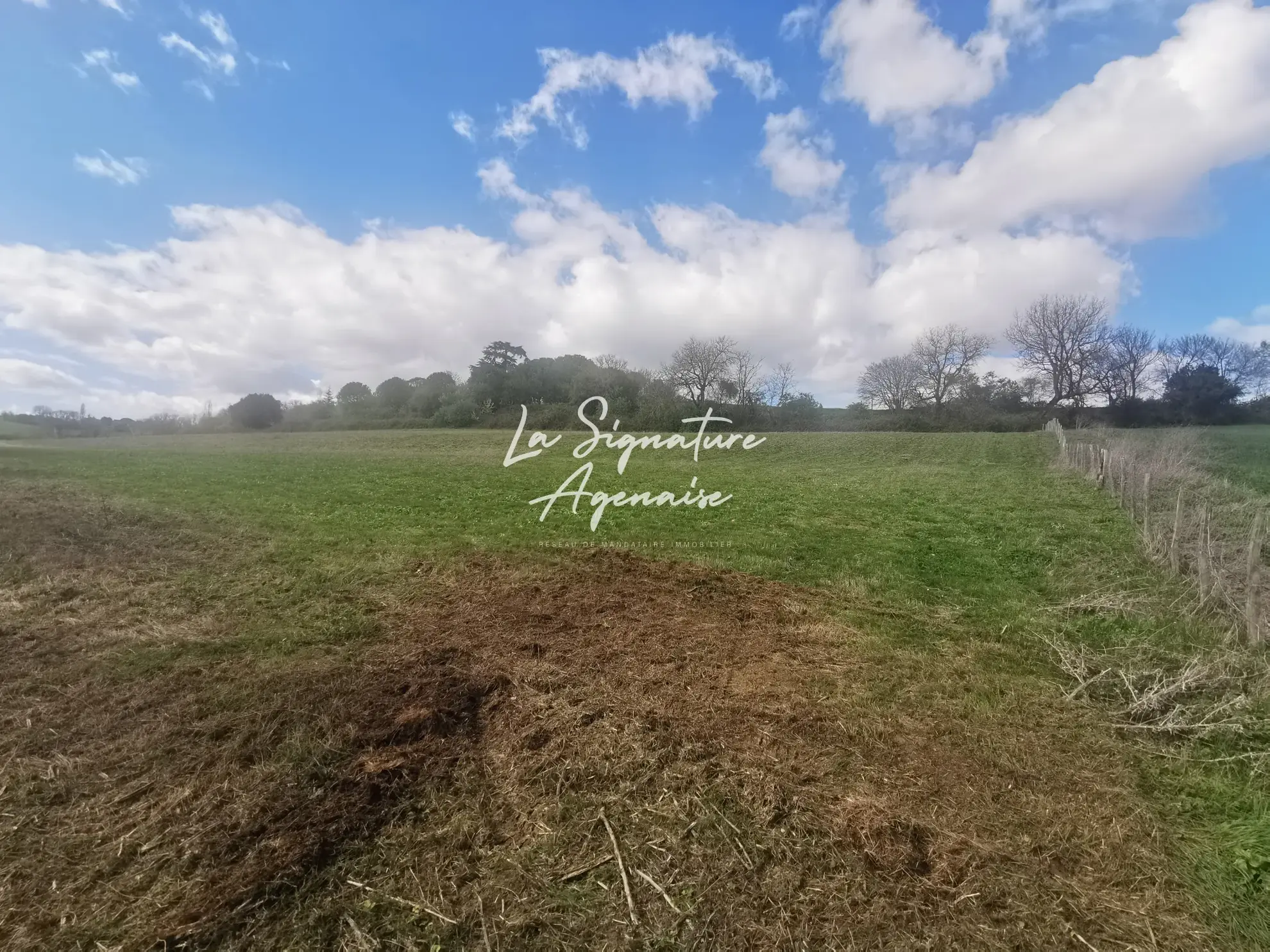 Terrain Agricole de 7400 m² à Gimbrede, calme et vue panoramique dans le Gers 