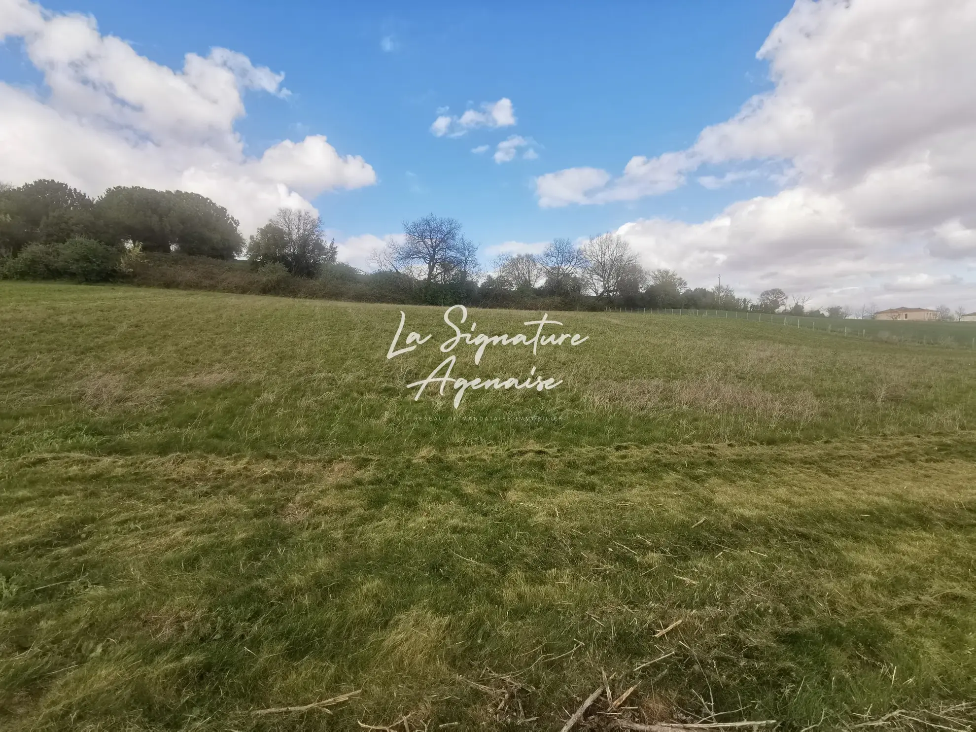 Terrain Agricole de 7400 m² à Gimbrede, calme et vue panoramique dans le Gers 