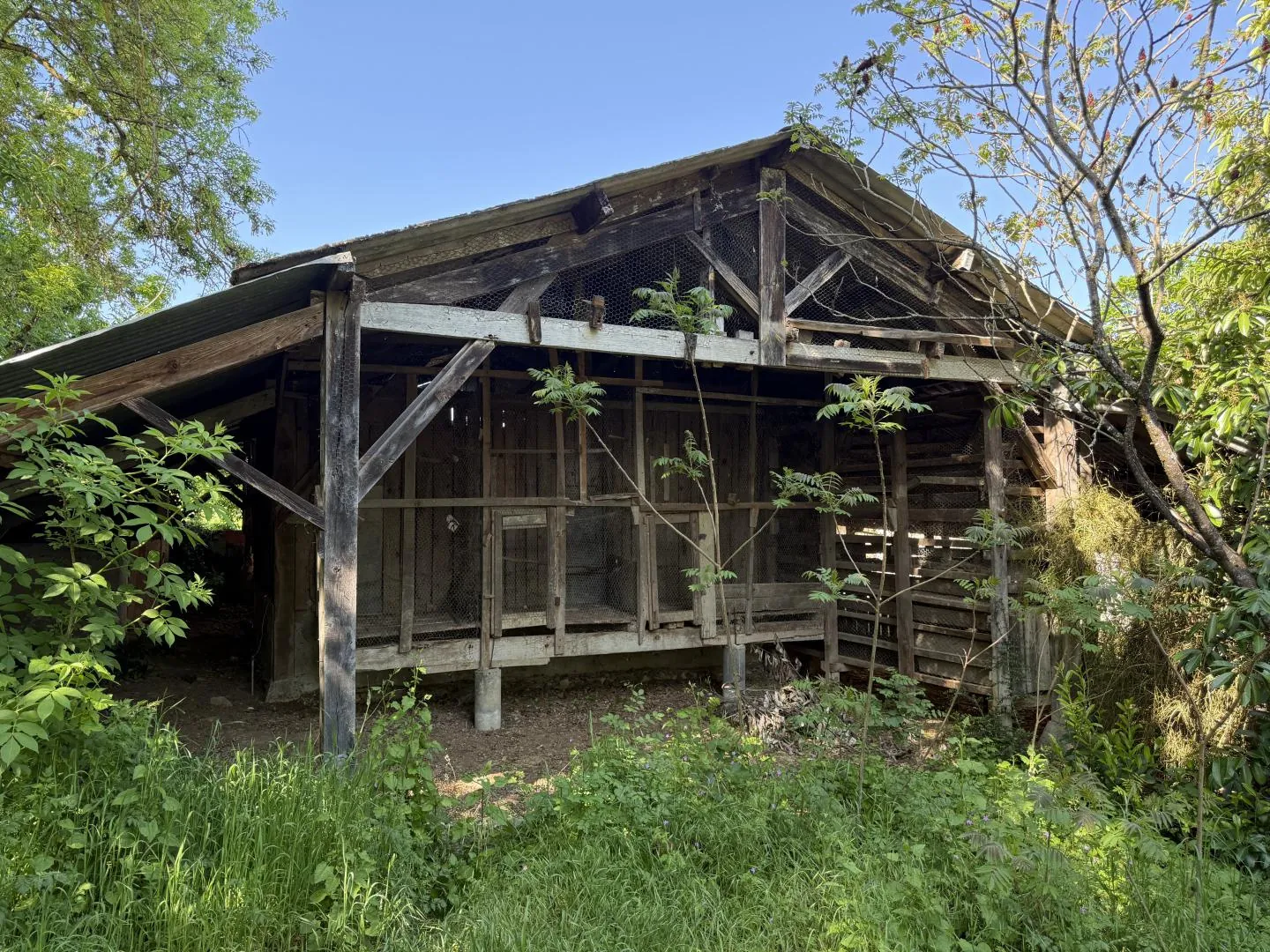Maison de hameau de 206 m² avec dépendances et terrain arboré près de Larroque-sur-losse 