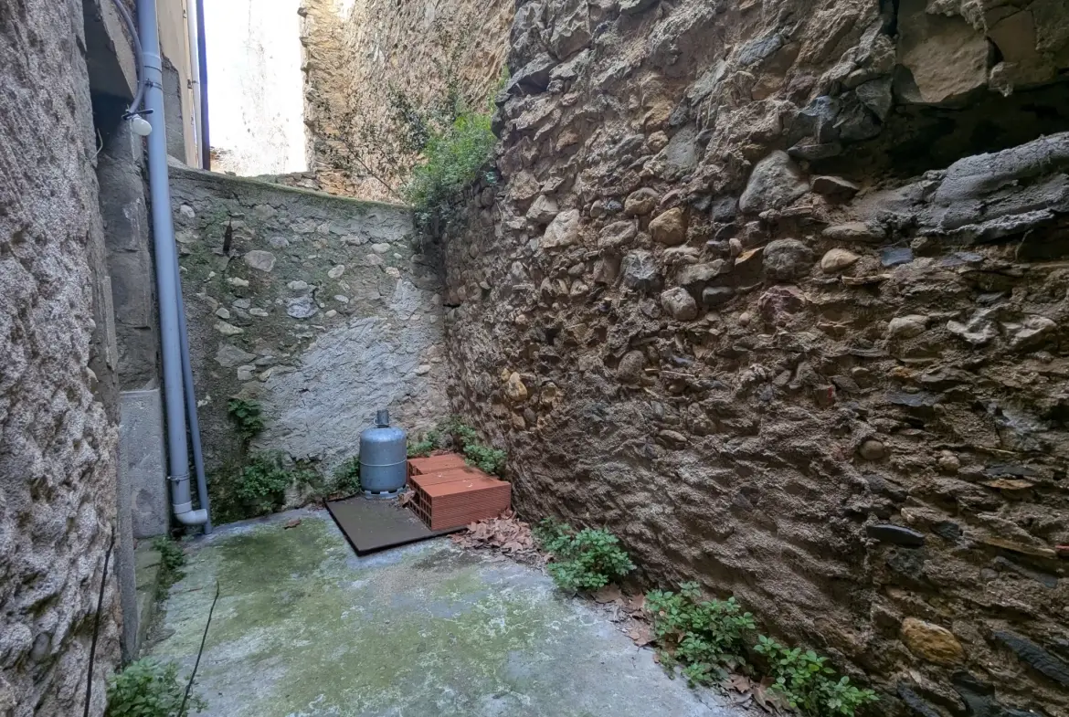 Maison rénovée avec terrasse à Saint-Laurent-de-la-Cabrerisse - 3 chambres et sans travaux 