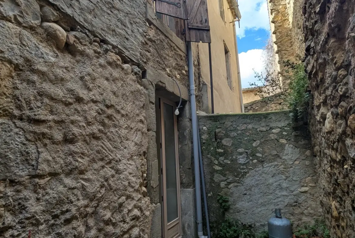 Maison rénovée avec terrasse à Saint-Laurent-de-la-Cabrerisse - 3 chambres et sans travaux 