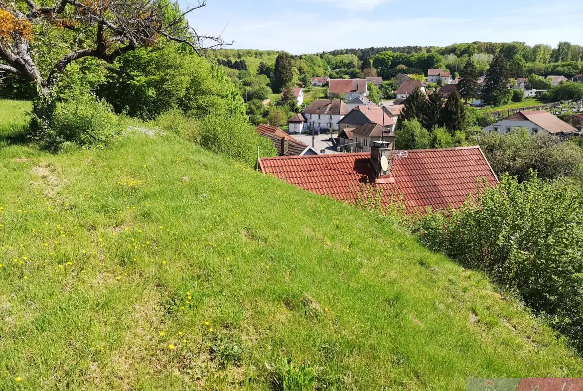 Belle maison individuelle de 117m² avec garage et terrain arboré à Fontaine les Clerval 