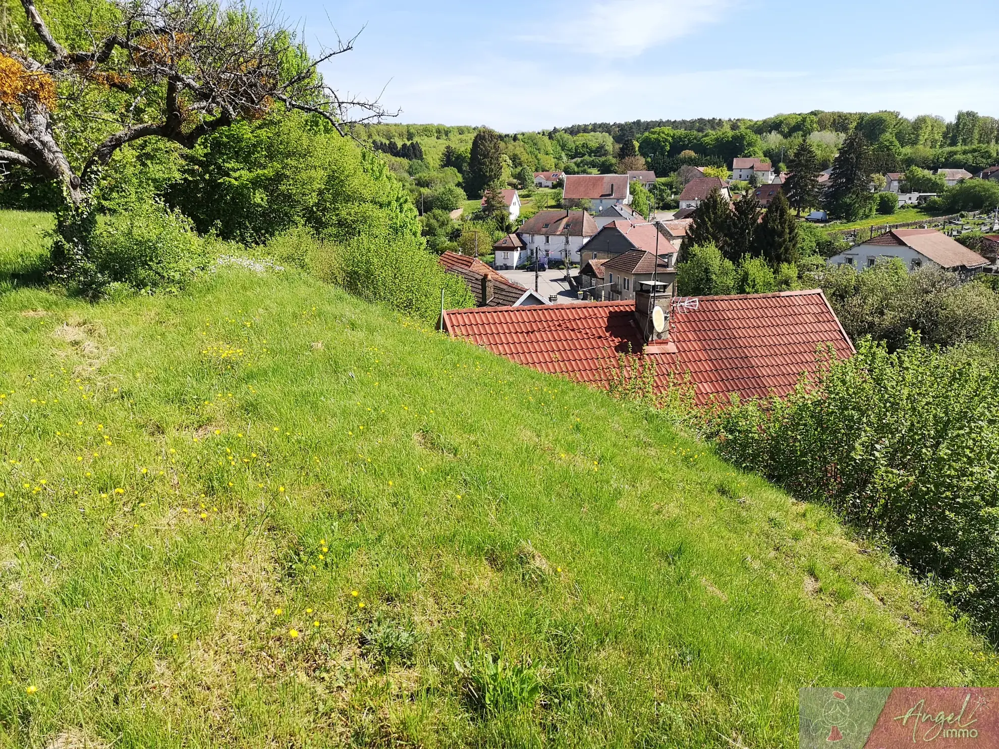 Belle maison individuelle de 117m² avec garage et terrain arboré à Fontaine les Clerval 