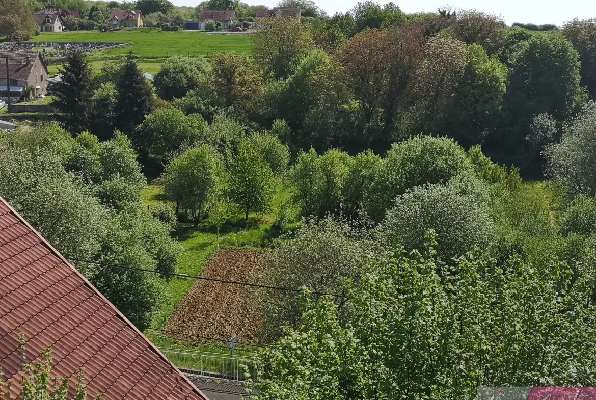 Belle maison individuelle de 117m² avec garage et terrain arboré à Fontaine les Clerval 