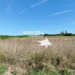 Terrain constructible de 1700 m² à vendre à Montazeau, environnement calme et proche des vignobles
