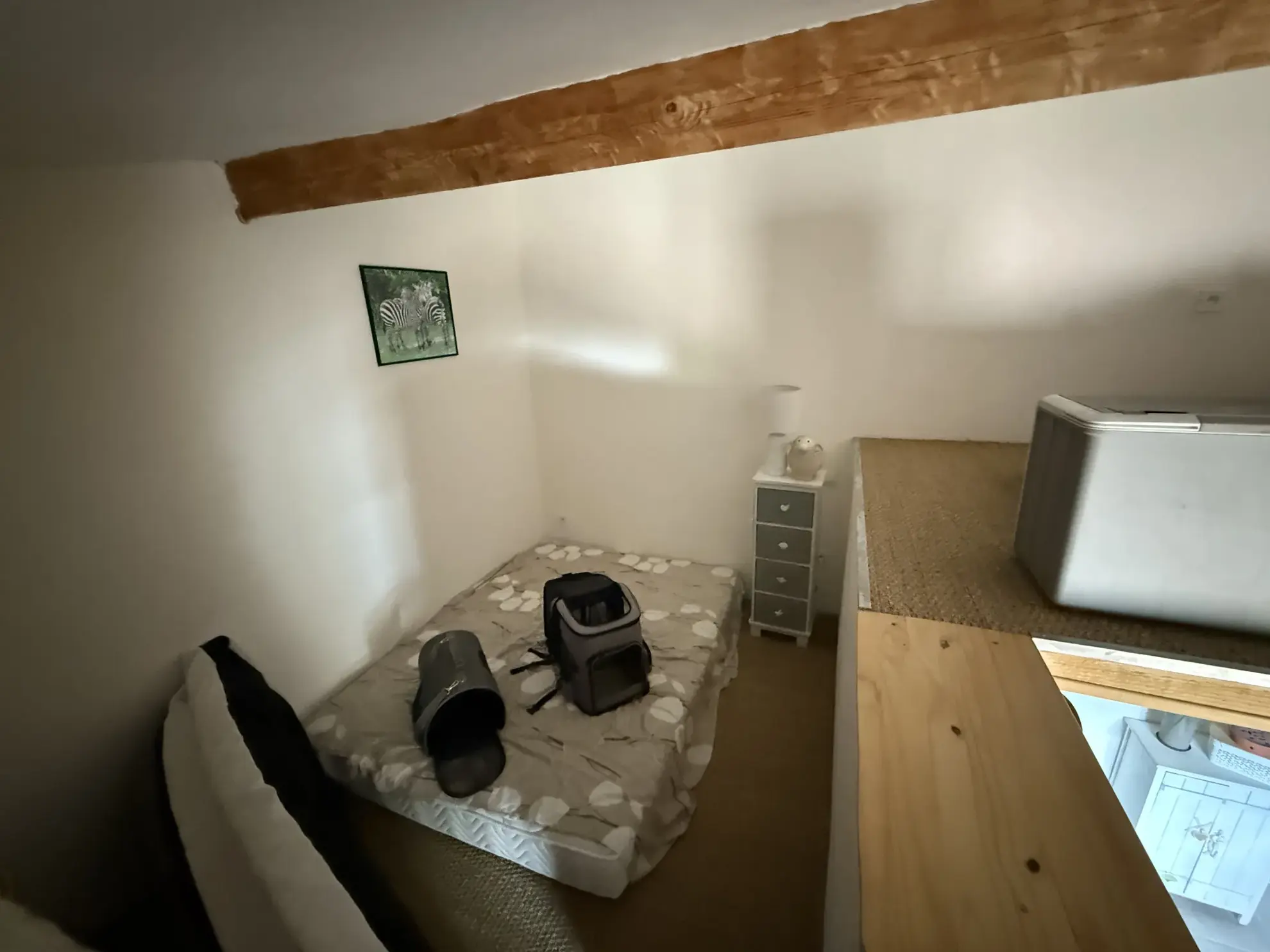 Charmante maison ancienne de 74 m² avec terrain arboré à Bellerive-sur-Allier 