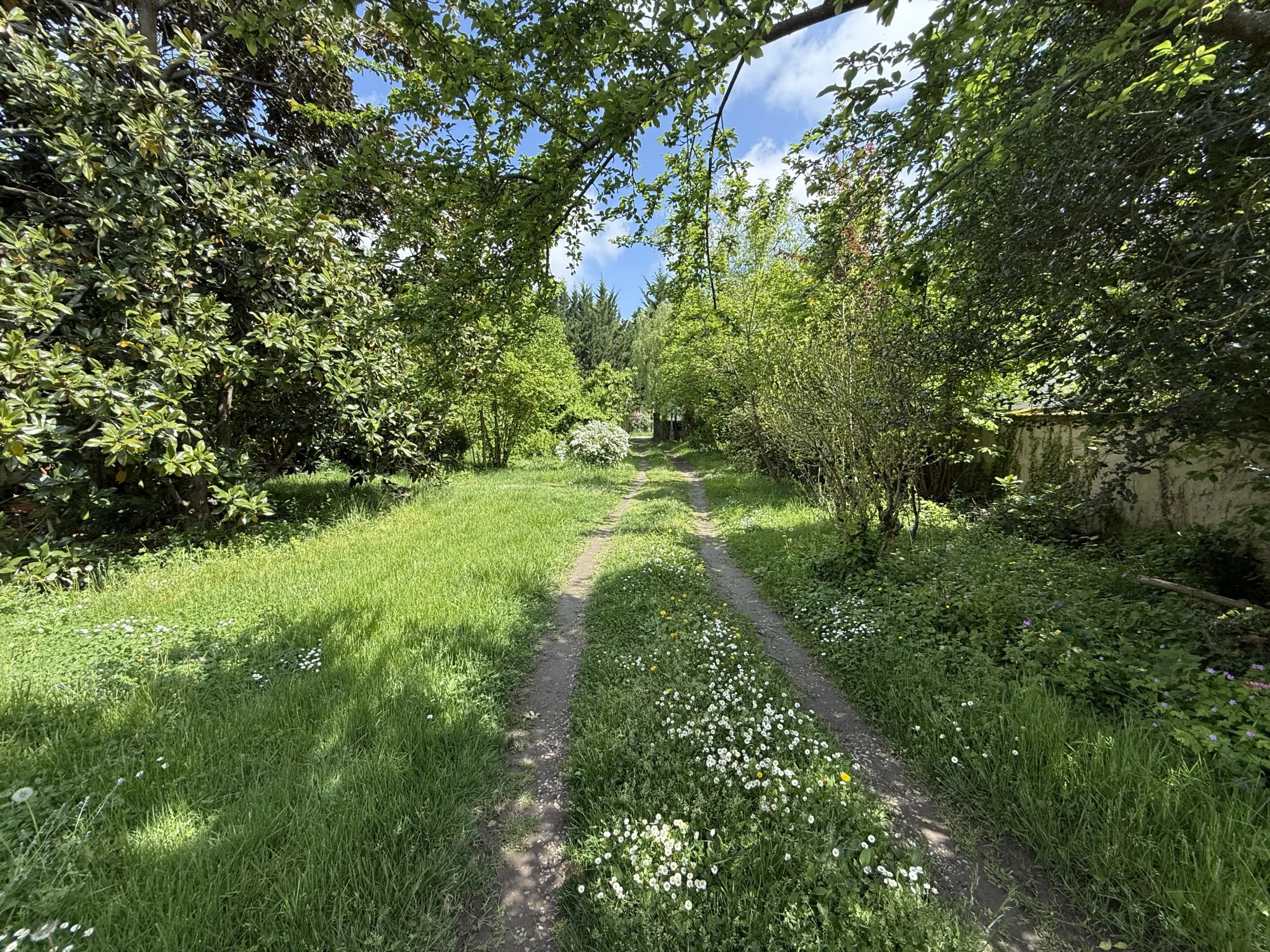Charmante maison ancienne de 74 m² avec terrain arboré à Bellerive-sur-Allier 