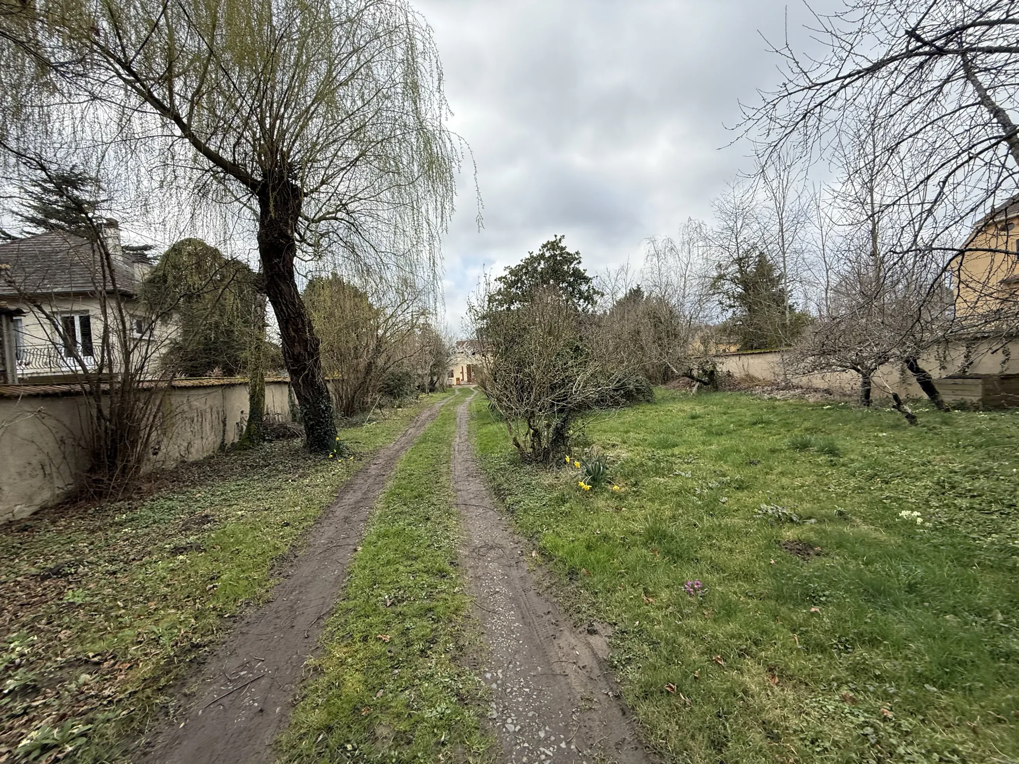 Charmante maison ancienne de 74 m² avec terrain arboré à Bellerive-sur-Allier 