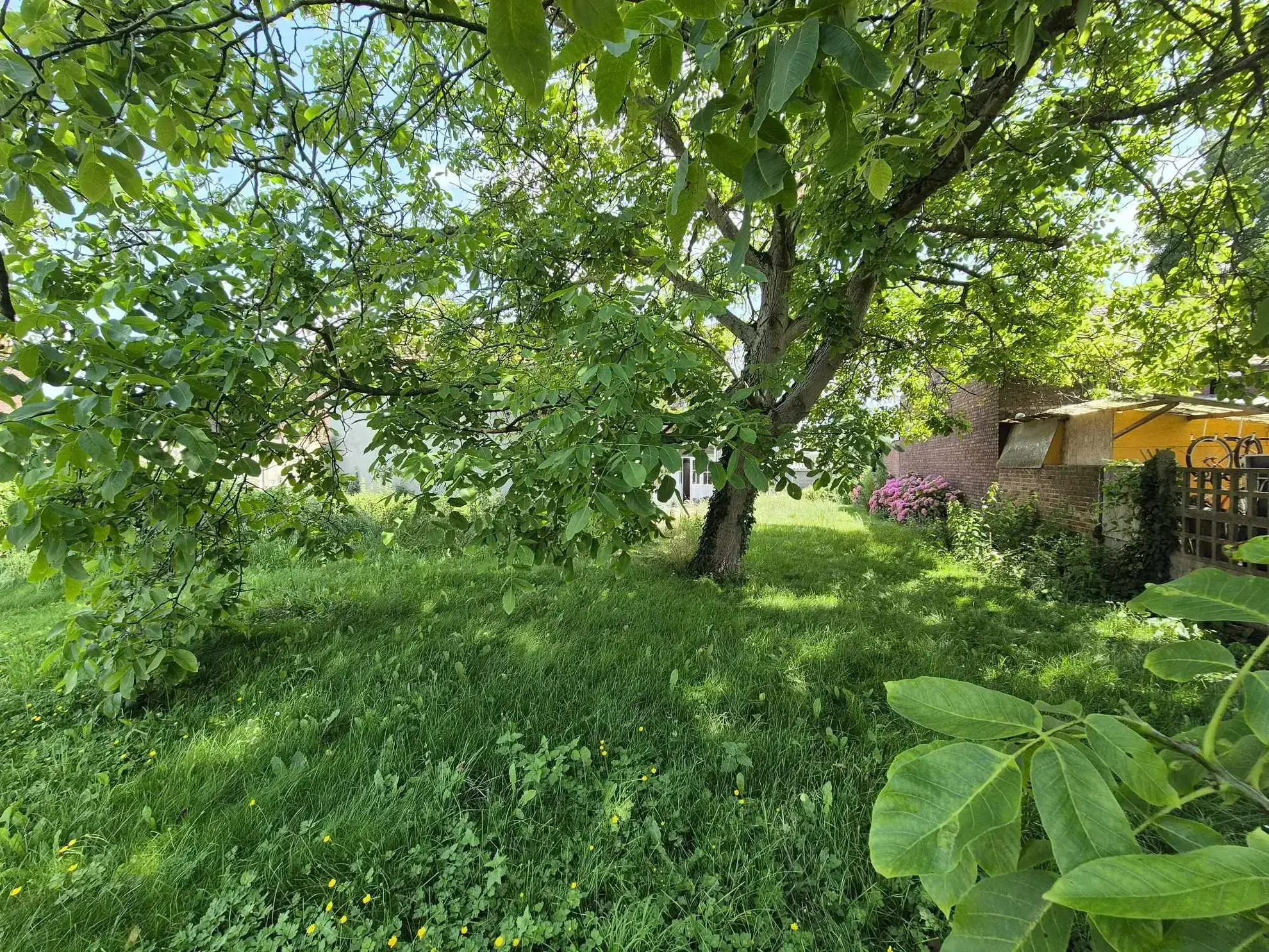 Magnifique maison ancienne de 215 m² à Fouquieres-les-Lens avec jardin et dépendance 