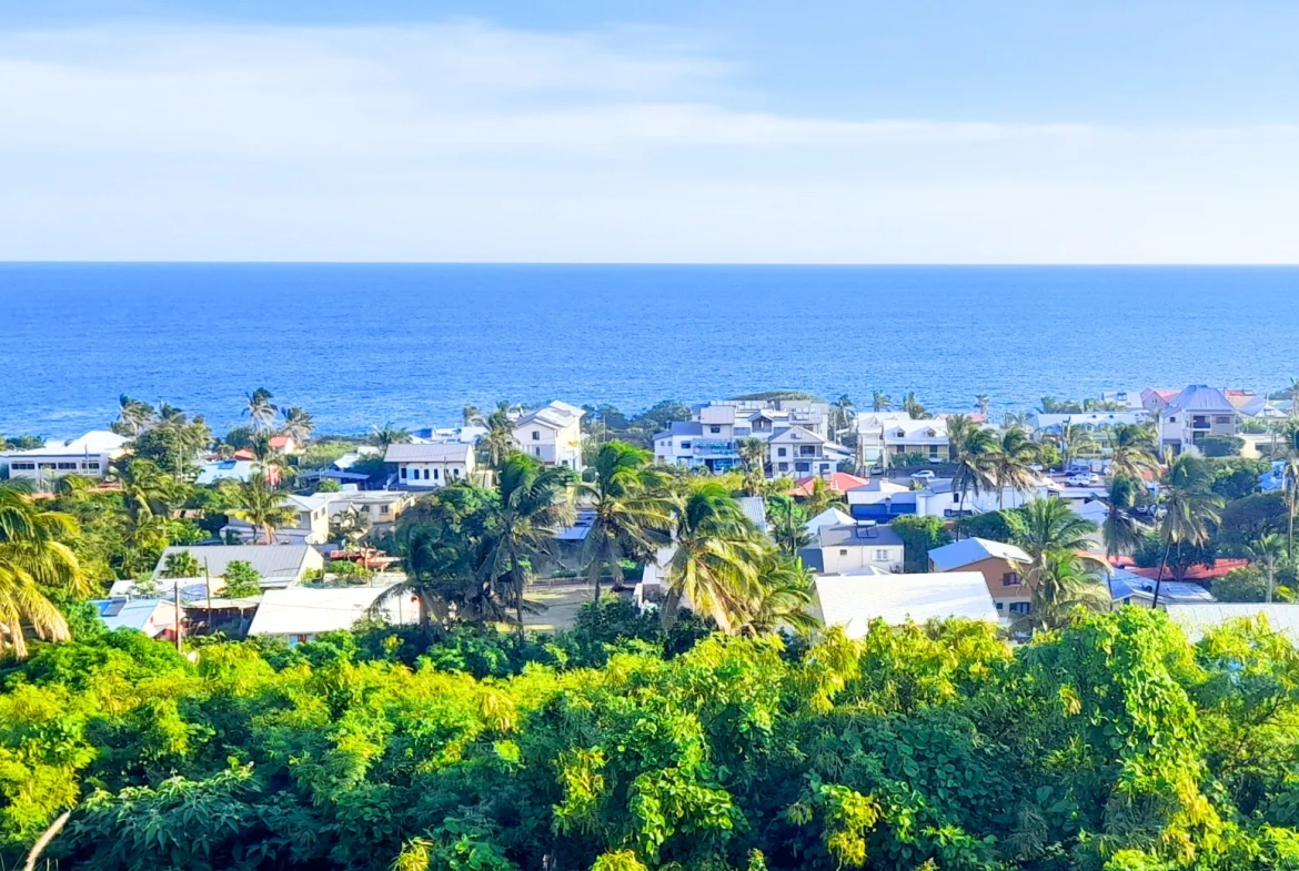 Terrain constructible de 296 m² à Grands Bois, Saint-Pierre - Investissez dans l'immobilier à La Réunion 