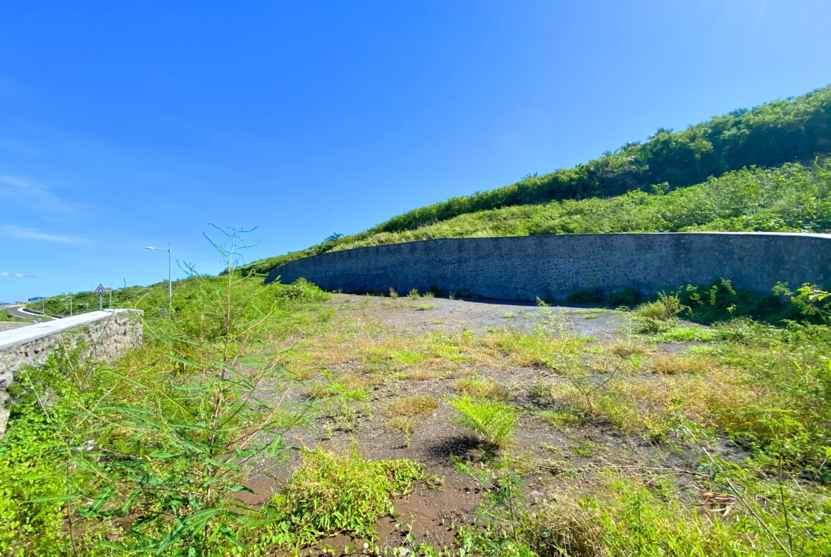 Terrain constructible de 296 m² à Grands Bois, Saint-Pierre - Investissez dans l'immobilier à La Réunion 