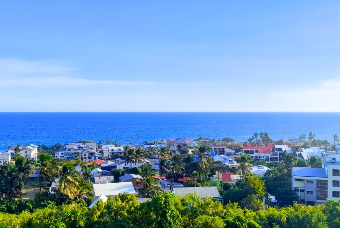 Terrain constructible de 296 m² à Grands Bois, Saint-Pierre - Investissez dans l'immobilier à La Réunion 