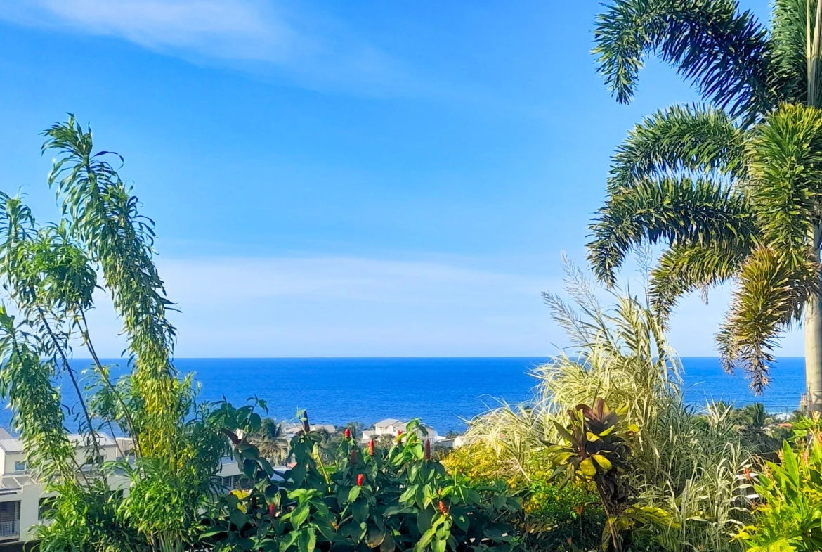 Terrain constructible de 296 m² à Grands Bois, Saint-Pierre - Investissez dans l'immobilier à La Réunion 