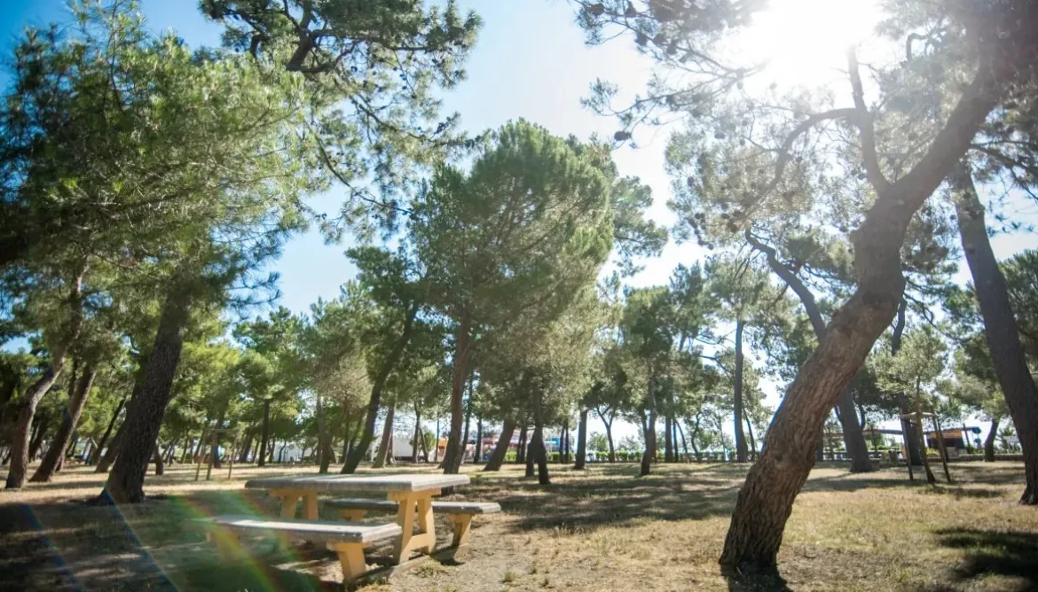 Appartement neuf à Argelès-sur-Mer avec jardin et parking - Offre spéciale 