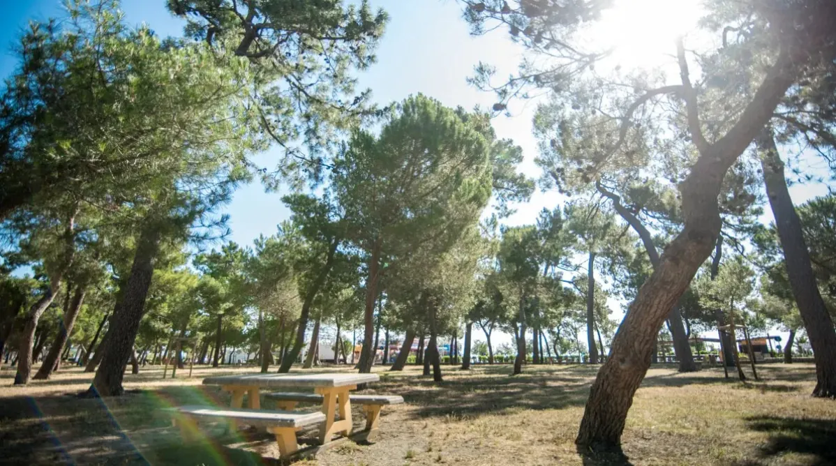 Appartement neuf à Argelès-sur-Mer avec jardin et parking - Offre spéciale 