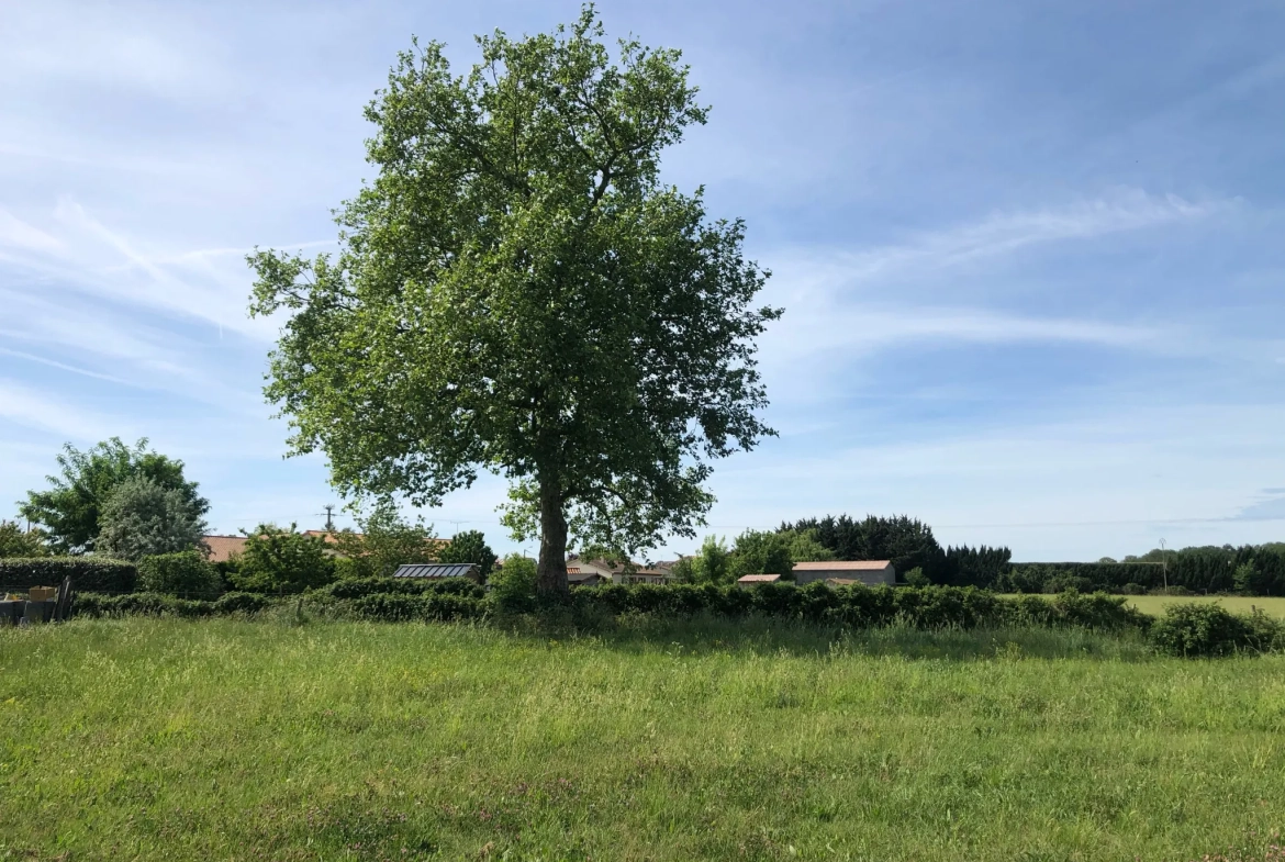 Terrain à bâtir à Chouppes (86110) – Vue dégagée et viabilisé 