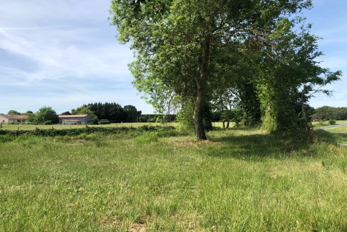 Terrain à bâtir à Chouppes (86110) – Vue dégagée et viabilisé 