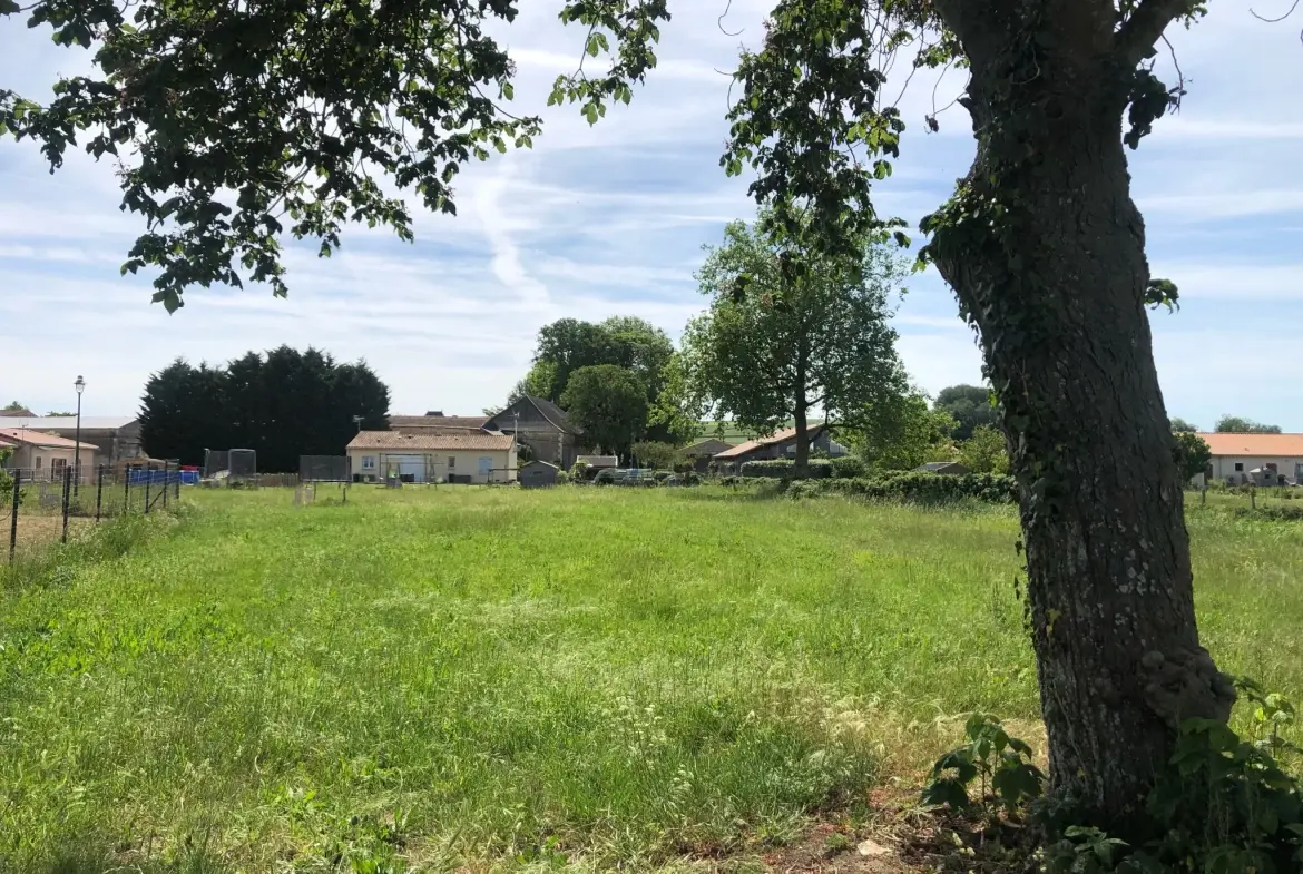 Terrain à bâtir à Chouppes (86110) – Vue dégagée et viabilisé 