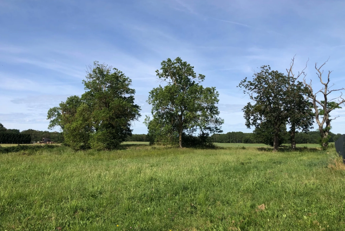 Terrain à bâtir à Chouppes (86110) – Vue dégagée et viabilisé 