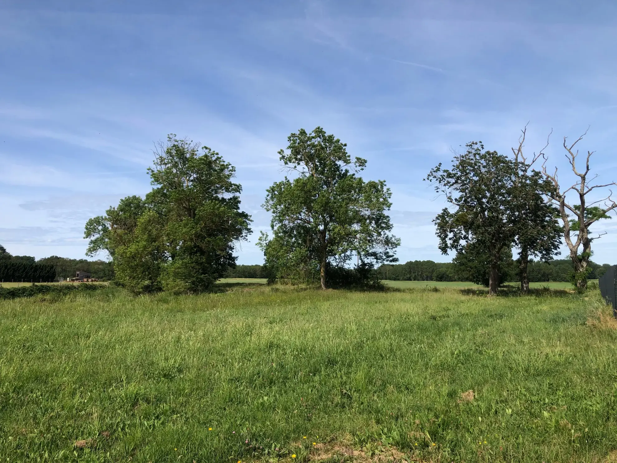 Terrain à bâtir à Chouppes (86110) – Vue dégagée et viabilisé 