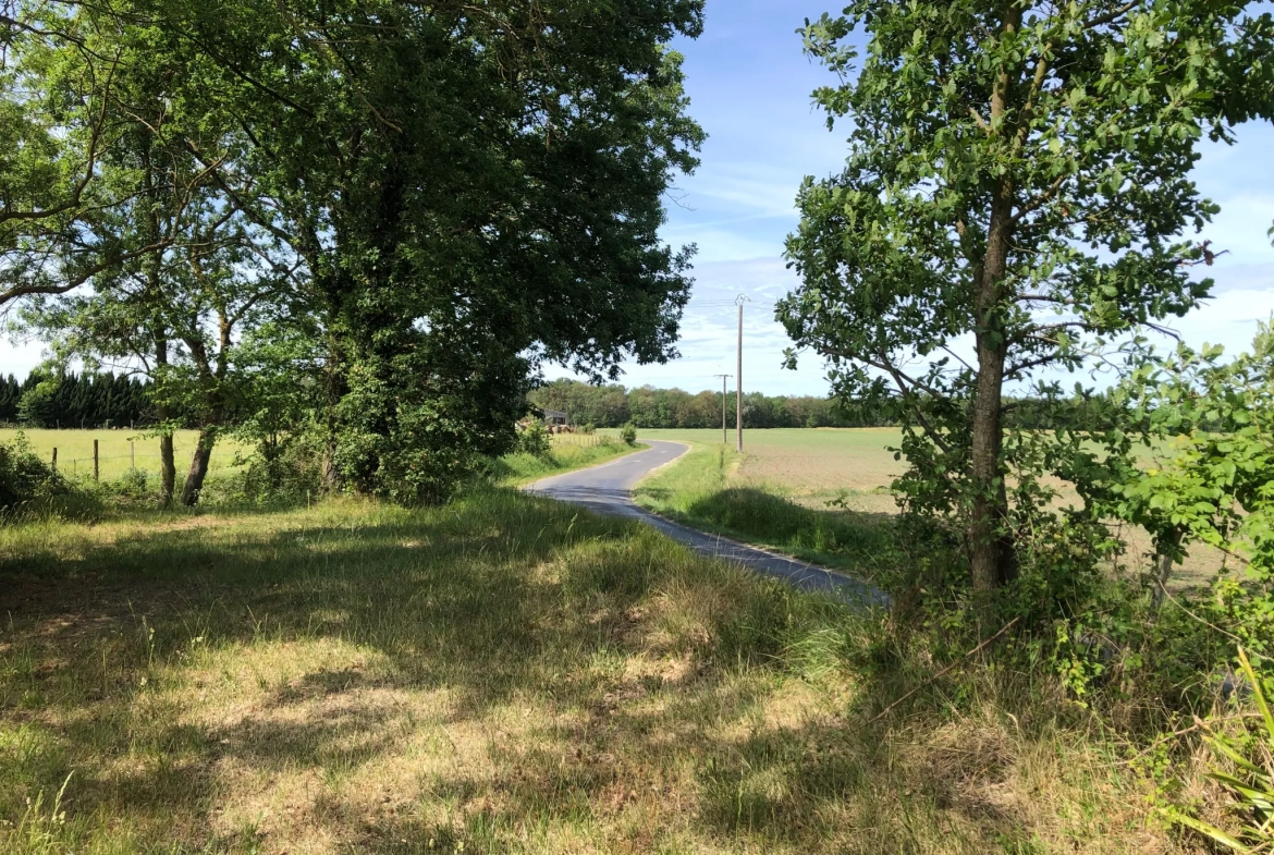 Terrain à bâtir à Chouppes (86110) – Vue dégagée et viabilisé 