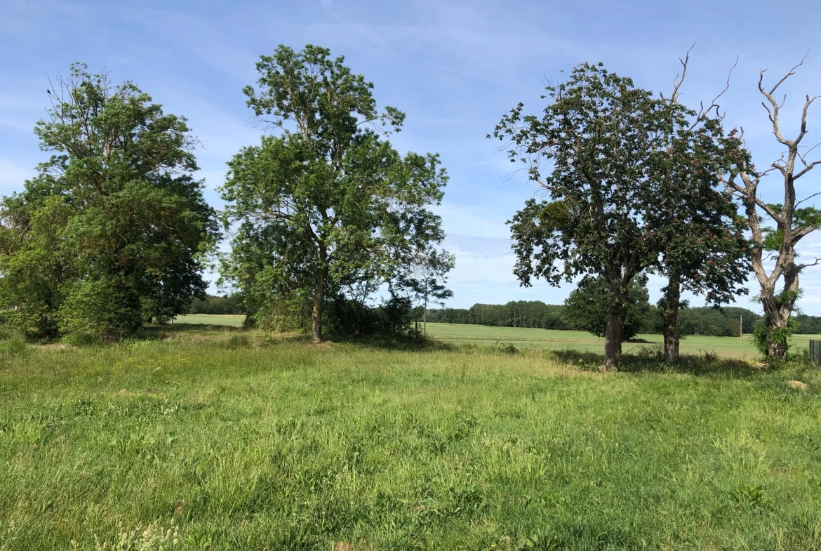 Terrain à bâtir à Chouppes (86110) – Vue dégagée et viabilisé 