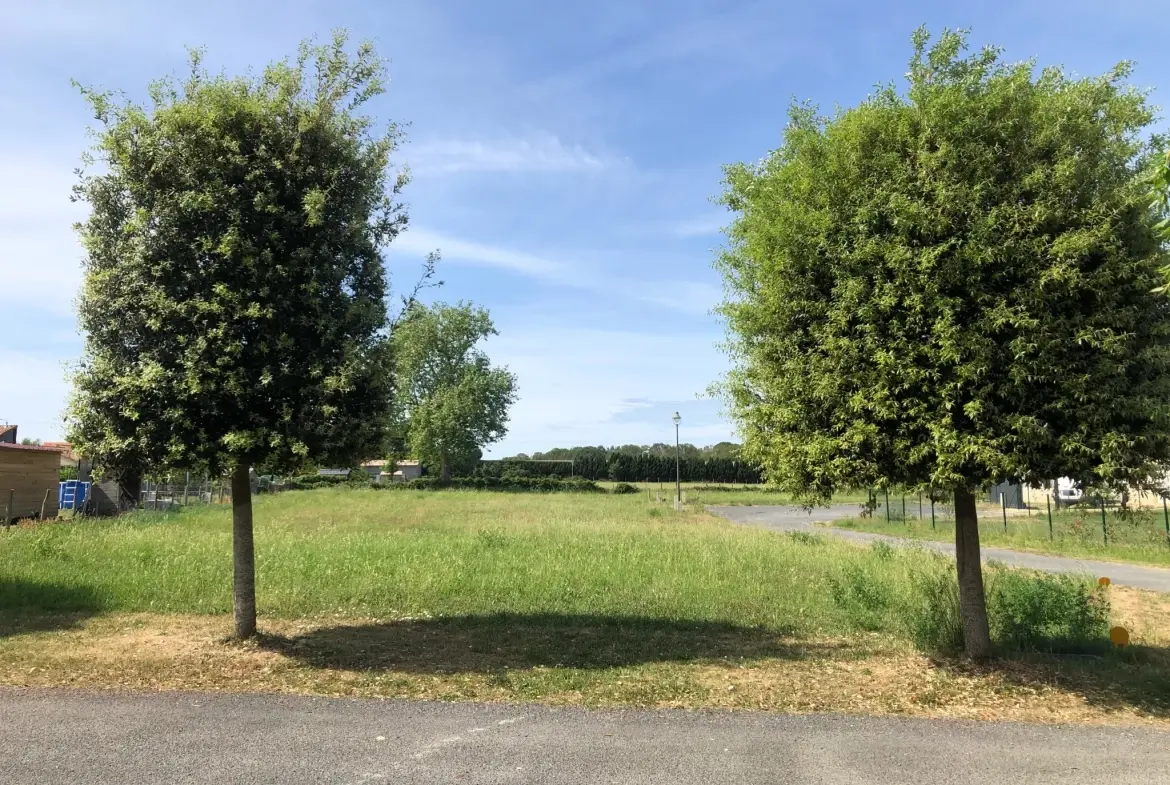 Terrain à bâtir à Chouppes (86110) – Vue dégagée et viabilisé 