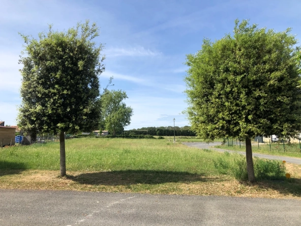 Terrain à bâtir à Chouppes (86110) – Vue dégagée et viabilisé