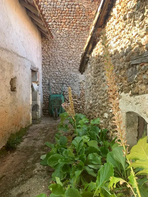 Ancienne ferme avec potentiel à Vergt en Dordogne 