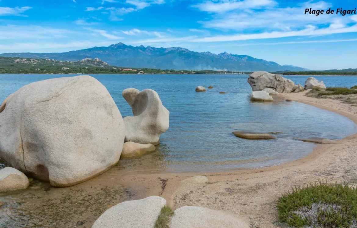 Terrains constructibles à Figari en Corse du Sud avec vue mountain et en résidence sûre 