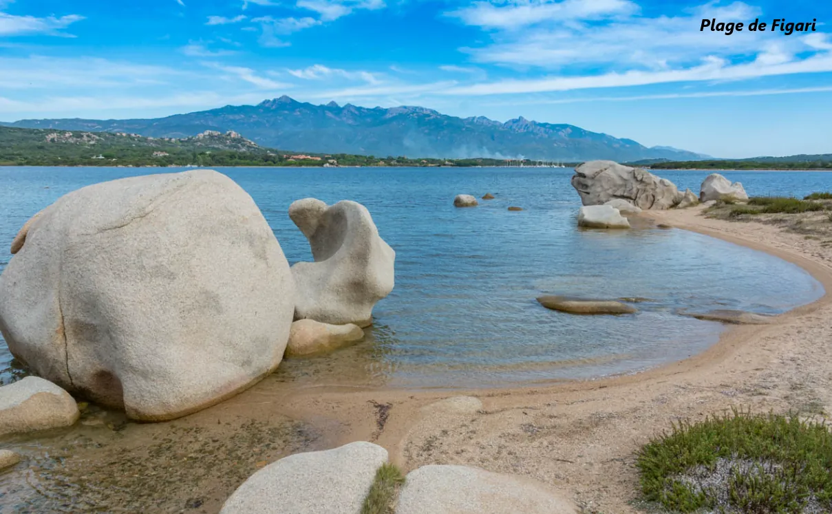 Terrains constructibles à Figari en Corse du Sud avec vue mountain et en résidence sûre 