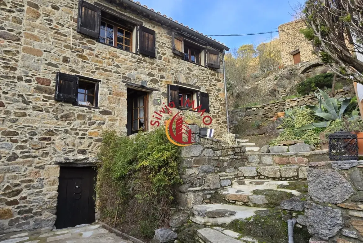 Charmante maison de village à Palairac avec potentiel de rénovation - 145 m² 