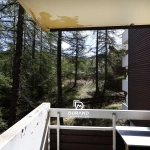 Studio à vendre à Vars, secteur Point Show, 21 m², proche pistes et commodités