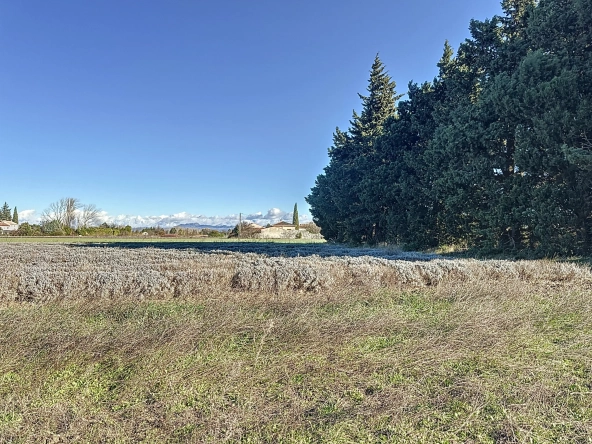 Terrain constructible sécurisé à Orange avec permis et viabilisation complète 