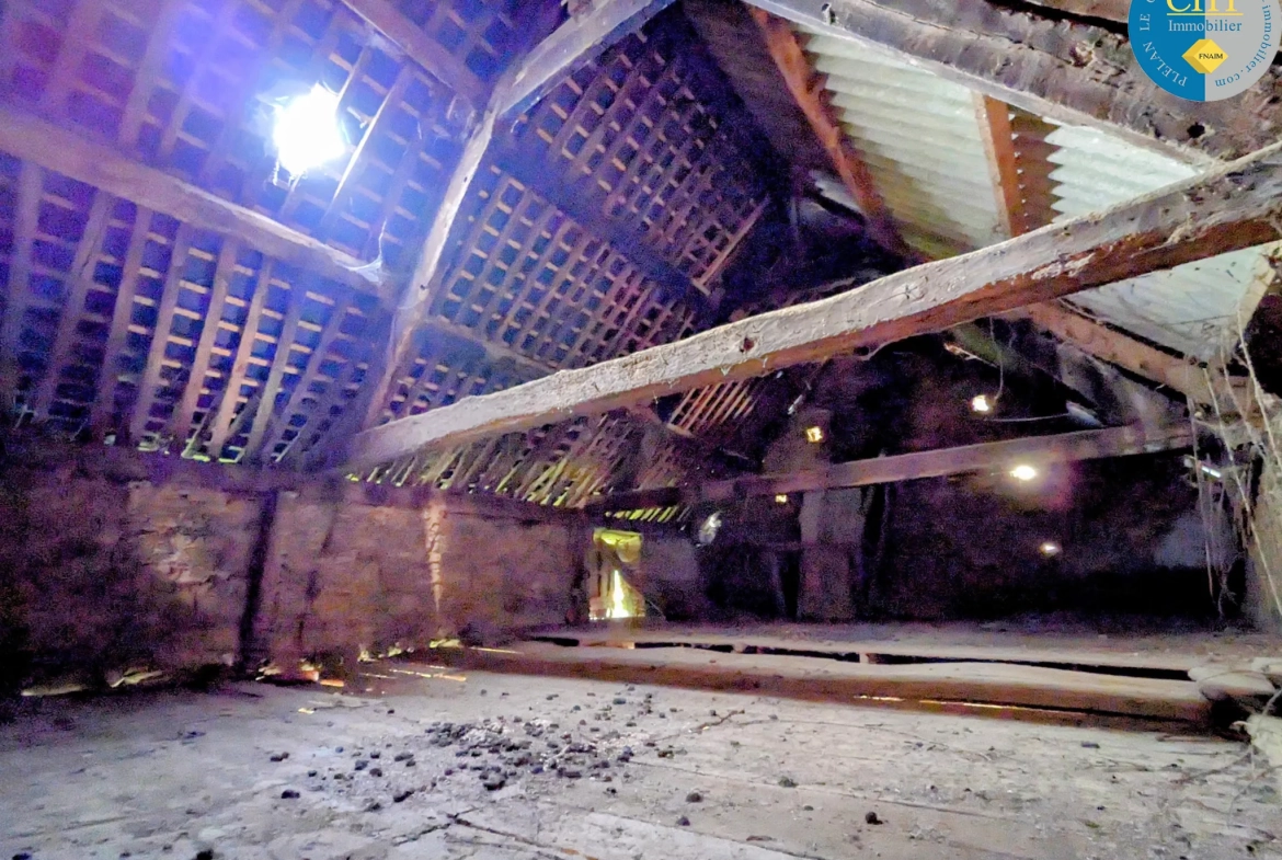 Maison en pierre à rénover à Tréal - Terrain arboré de 3750 m² 