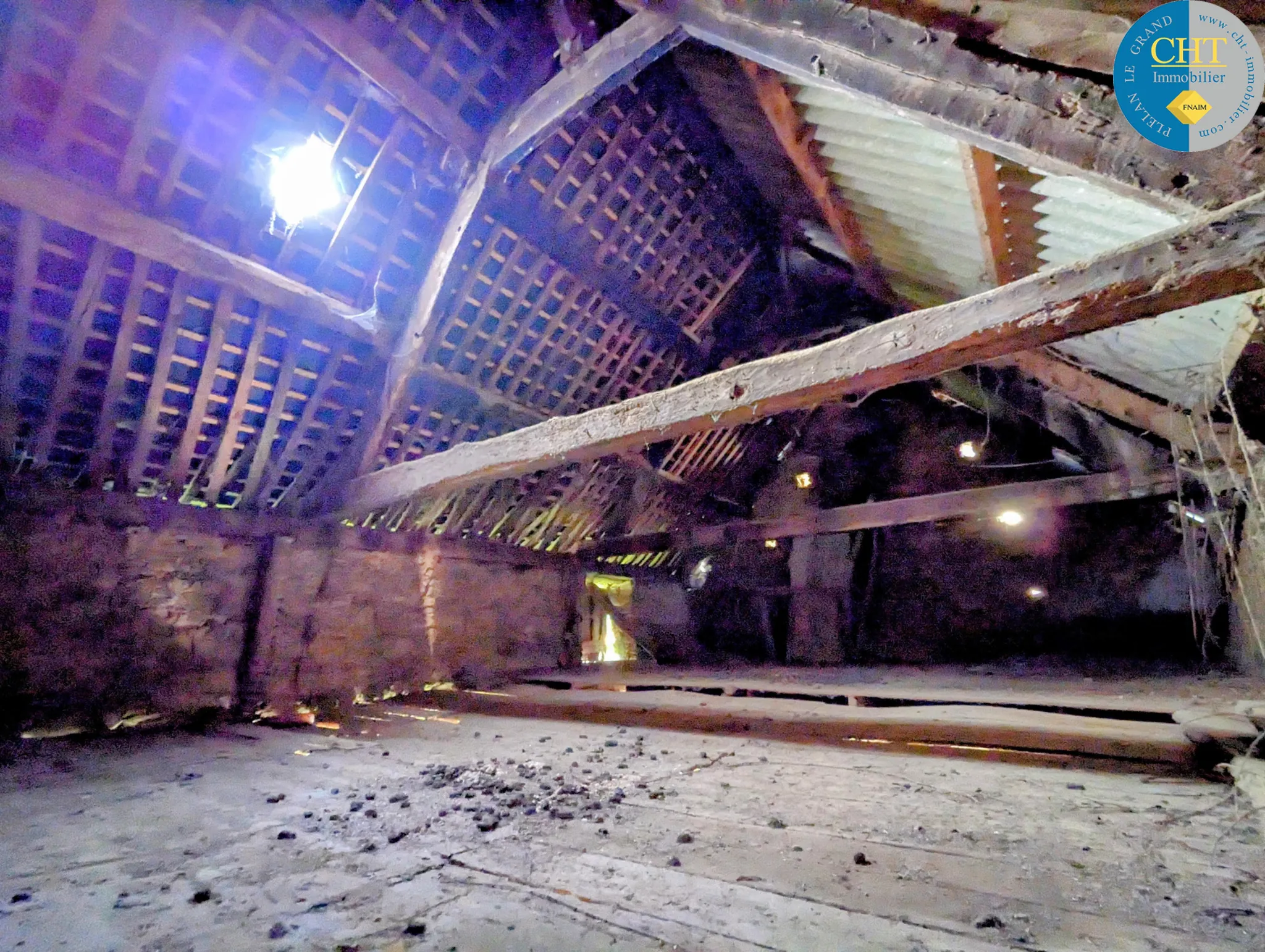 Maison en pierre à rénover à Tréal - Terrain arboré de 3750 m² 