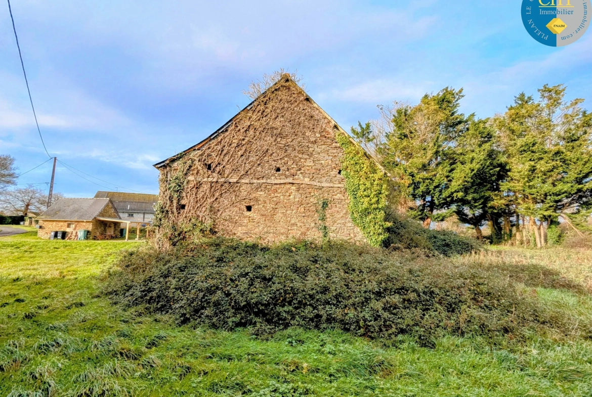 Maison en pierre à rénover à Tréal - Terrain arboré de 3750 m² 