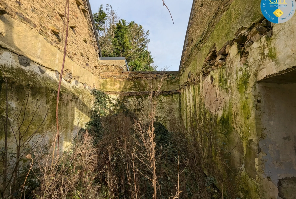 Maison en pierre à rénover à Tréal - Terrain arboré de 3750 m² 
